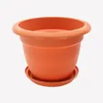 PLANTER NO.6 WITH DISH