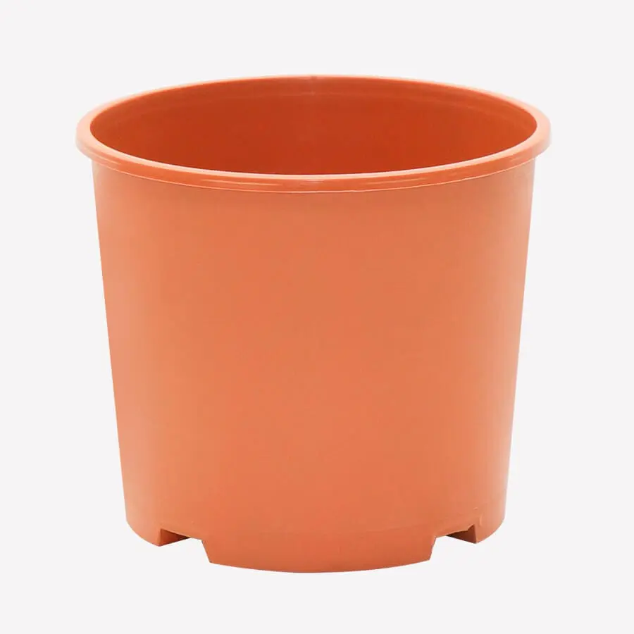 PLANTER NO.7 PLANTER NO.7 - Image 1